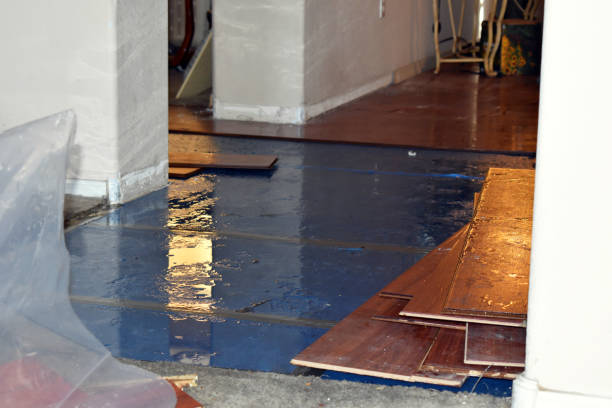 Professional Burst Pipe Cleanup technician working in Cecil, WI