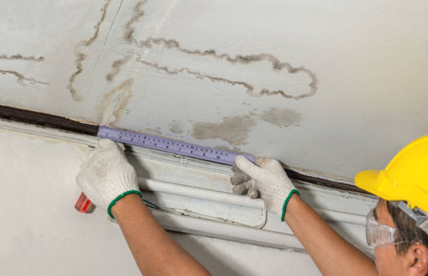 Reliable Burst Pipe Cleanup contractor in Cecil, WI by Local Water Damage Repair
